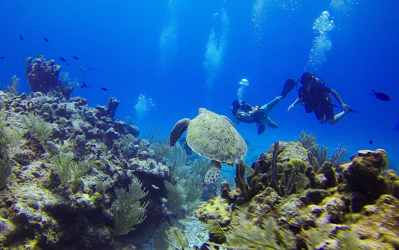 ¿Cuántos años dura una botella de buceo?